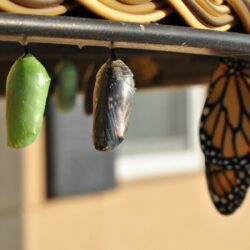 resistance to change
